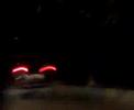 Isloo race Isloo race
