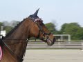 Click here to watch this video Frisby Ridge - Malmö 20/5 80cm 0 fel