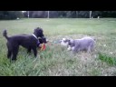 Tug of War Tug of War