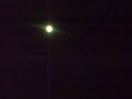 Nightingale under the moon Nightingale under the moon