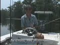 Fishing Lure Tips - Buzzbaits Fishing Lure Tips - Buzzbaits