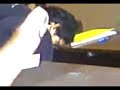 no t duermas 2