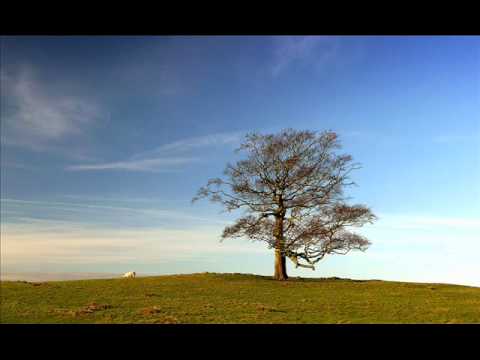  12 Surah Yusuf (complete)+(English translation)
