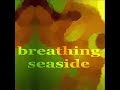 Yespiring House releases INHOUS08 with Breathing Seaside. Hope you'll fully enjoy the deejay friendly tracks with vocal melodies and electric beach rhythms from Various Artists. See yespiring.com to discover all details now! 01 D125 Coolerika - You Want It (Moti Brothers Inspiring House Mix) 9 02 D126 Coolerika - You Want It (Gaty Lopez Vocal House Mix) 6:43