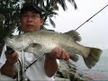Lure fishing in singapore 2