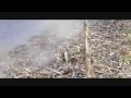 Best of Streetfire-Week of September 29, 2008