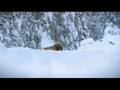 Ski-Doo Rotax Challenge - Chapter 6: 4-Stroke Weight Challenge