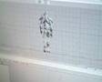 videos de Entwickler Besuch Speedball 10.10.2007 (2)