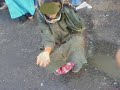 morocco.. سيدي يحيى الغرب .خـلـيـوني نـبـكـي عـلى بــلادي morocco.. سيدي يحيى الغرب .خـلـيـوني نـبـكـي عـلى بــلادي