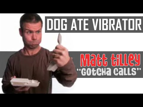 vibrator