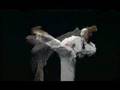videos de Planet Taekwondo - 70 Millions Members Video - Lima TaeKwonDo, Jiu Jitsu and Taekwondo Classes in Culver City, California