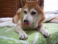 闇に浮かぶりょう