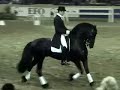 Friesian stallion Jasper 366 Dressage