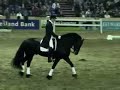 Friesian stallion Jasper 366 Dressage