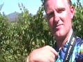 Travel in Napa, California of July 2007