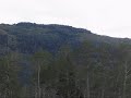 crandall-canyon-mine-tragedy.html