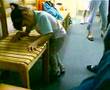 CP Cerebral Palsy Acupuncture Treatment Research