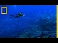 The Global Partnership for Oceans