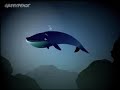 Een bijzondere walvis Een bijzondere walvis