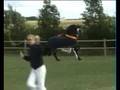 Frieser kåring 2008 Championatet 9