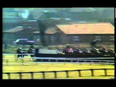 horse racing cheltenham
