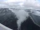Beluga Racer The Transat Day 15