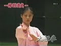 Wushu Japan Demonstration Wushu Japan Demonstration
