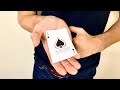 Anatomy of a Card Palm - Tutorial