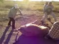 MONTAS DE BORRACHOS SIN FRONTERAS