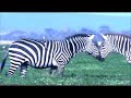 Olympus E-3 promotional video