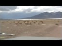 Travesia Norte: video promocional