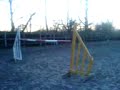 jumping over 1.20 metres horse jump on foot(Ryan Duthie)
