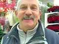 Auchan Hetma?ska - pierwsze opinie