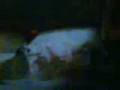 videos de Potenza.MP4