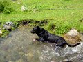 bagno al davaglione