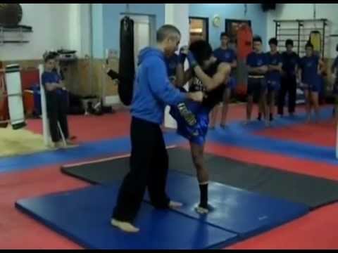 zenshin - Tecniche di proiezione etc.