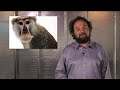 Sexual-Reproduction-