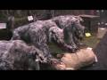 Transworld 2009: Professional Halloween Prop Show