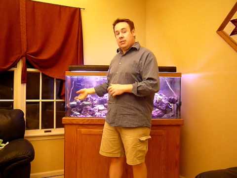 how to properly cycle an aquarium