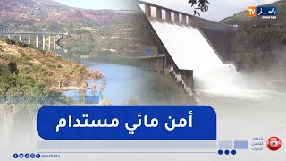 سدود جديدة ومشاريع محطات تحلية مياه البحر.. خطوات ثابتة نحو الأمن المائي