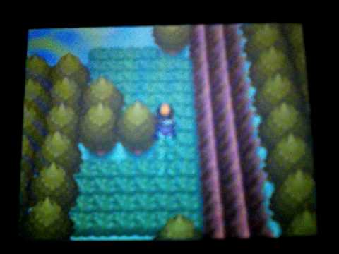 how to get xp share on pokemon soul silver