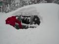 DIGGING OUT MY CAR AFTER ONE NIGHT OF SNOW ON MT HOOD. DEC. 08