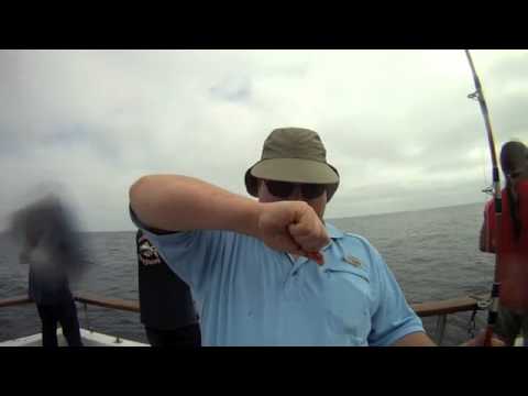 Video: Eating The Heart Of A Tuna | socalsalty