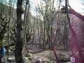 videos de Torres Del Paine.mov
