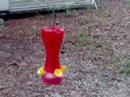 hummingbirds fighting