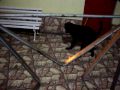 marley e a luz
