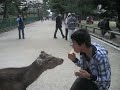 良い子も悪い子もマネしないでください。 鹿はくさいです。 俺ゎイケメンです。