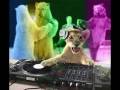 videos de dj ange - ipno