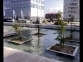 Salburua. Dorre bioklimatikoak II