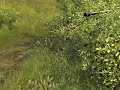 Men of War Lesson #2